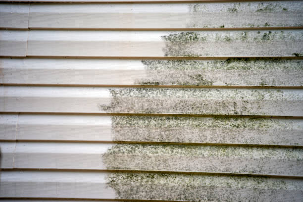 Best Carpet Removal and Disposal  in Eleele, HI